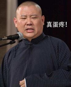 大王爆料郭德纲视频全集,大王爆料视频全集深度解析